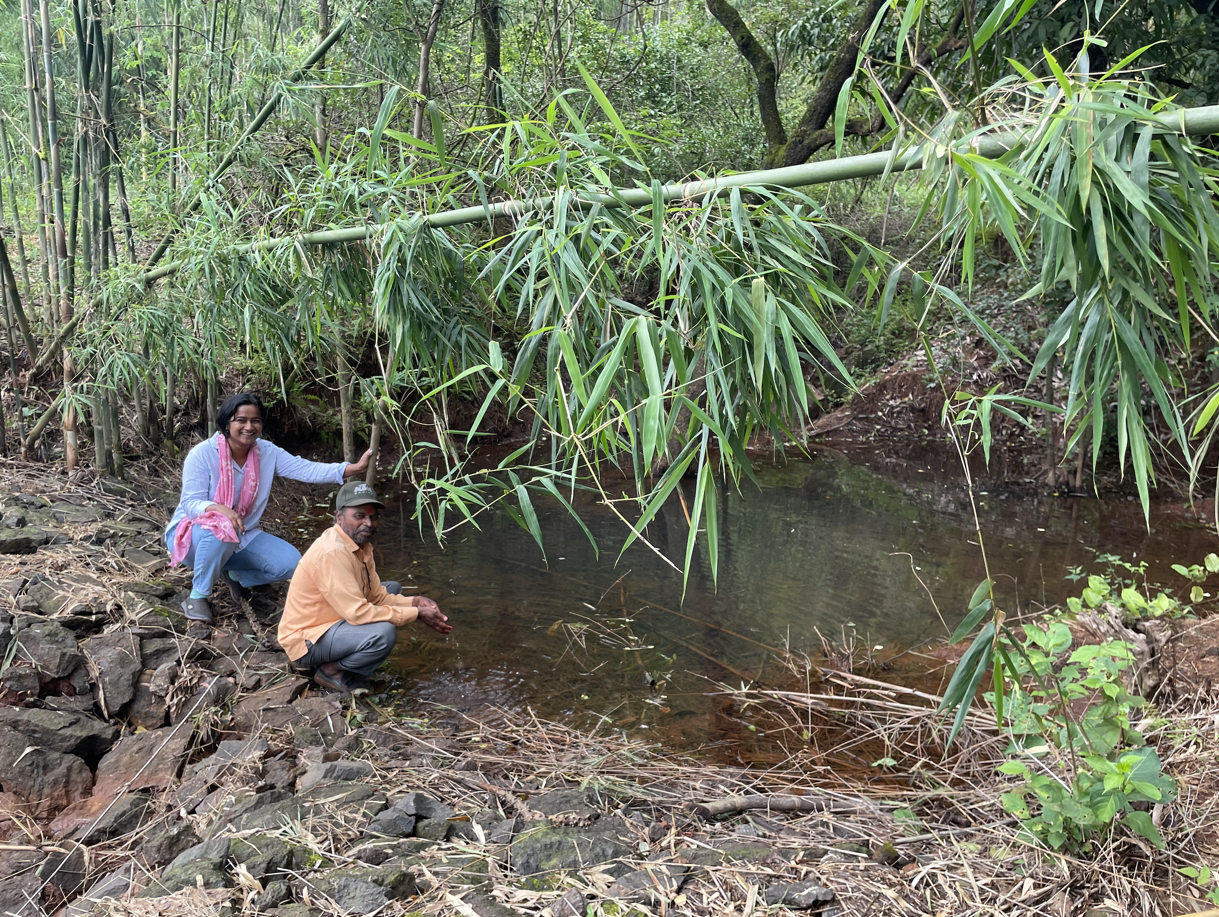Watershed Restoration